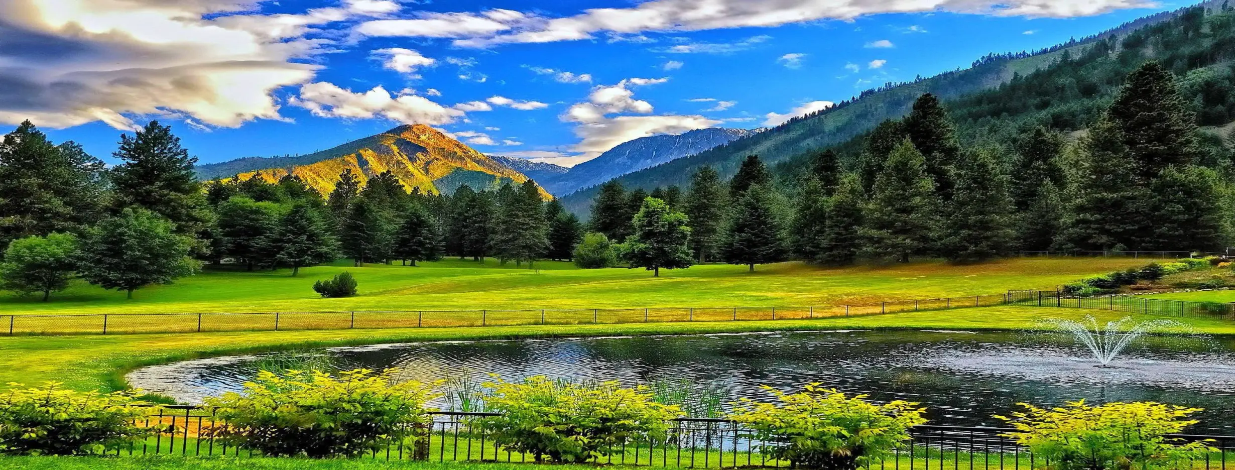 Image for Exquisite Natural Beauty